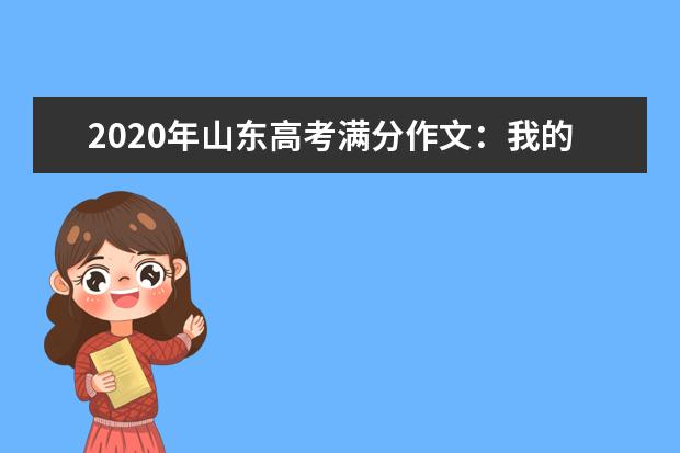 2020年山东高考满分作文我的行囊