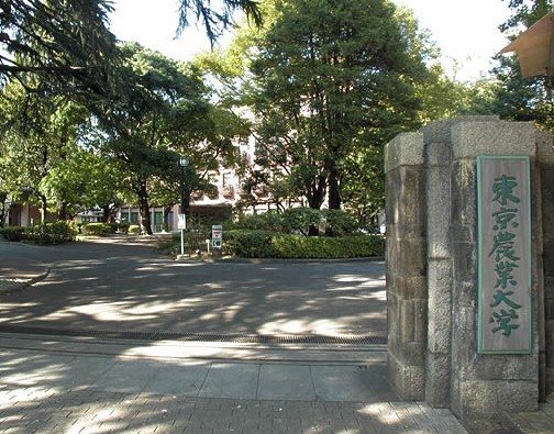 东京农业大学