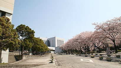 中央大学