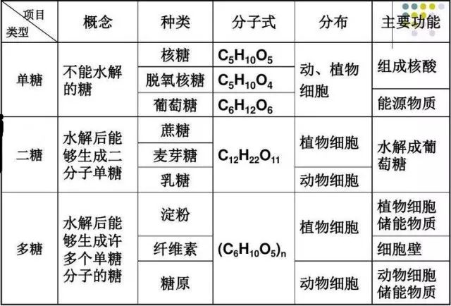 生物会什么因为它们有什么