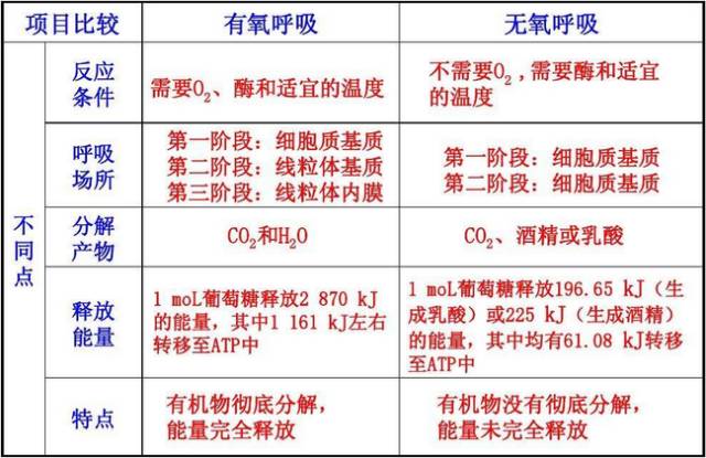 生物会什么因为它们有什么