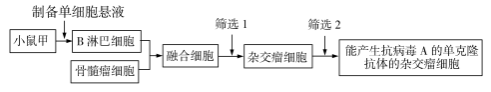 2020年福建高考理综试题及答案解析