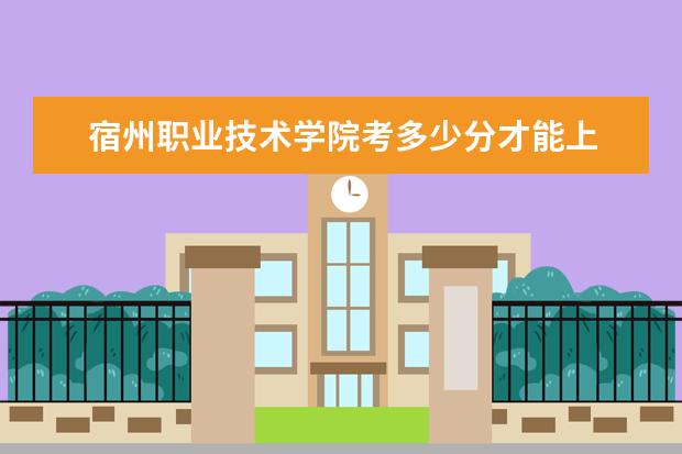 宿州职业技术学院考多少分才能上