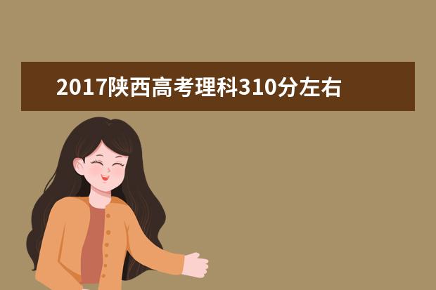 2017陕西高考理科310分左右可以上哪些院校