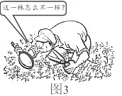 2019年江苏高考政治试题及答案【真题试卷】