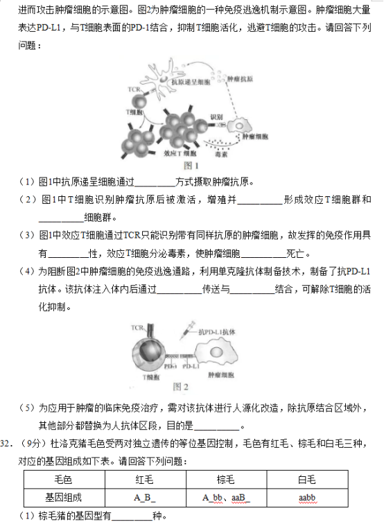 2019年江苏高考生物试题及答案【真题试卷】