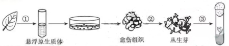 2019年江苏高考生物试题【精校版】