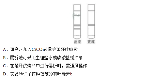 2019年江苏高考生物试题【精校版】