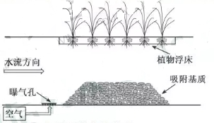 2019年江苏高考生物试题【精校版】