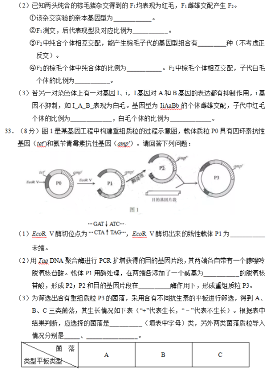 2019年江苏高考生物试题【精校版】