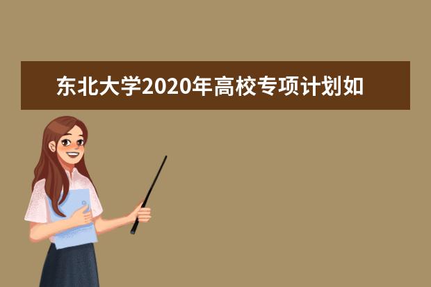 东北大学2020年高校专项计划如何录取？