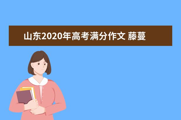 山东2020年高考满分作文 藤蔓 人生 懂得放下