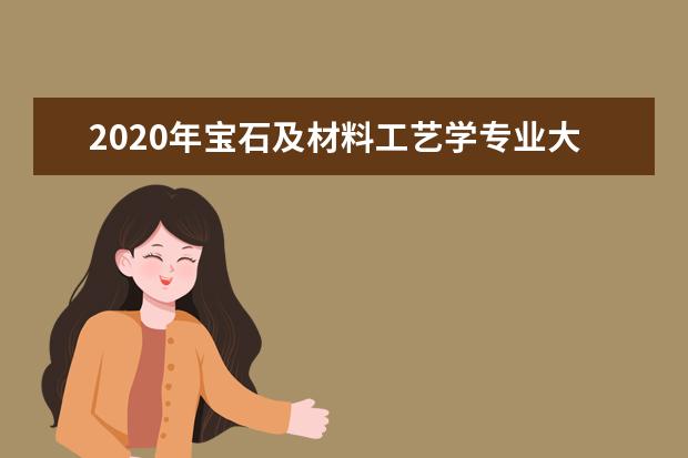 2020年宝石及材料工艺学专业大学排名