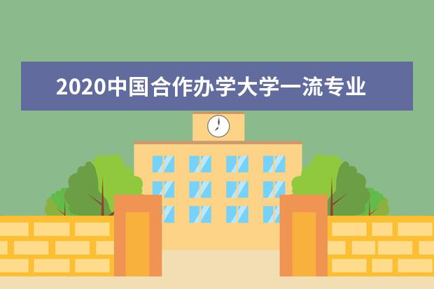 2020中国合作办学大学一流专业排名