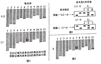 2021年高考生物真题及参考答案（河北卷）