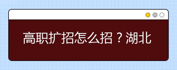 高职扩招怎么招？湖北方案来了