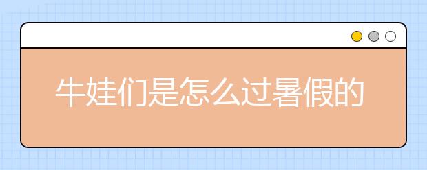 牛娃们是怎么过暑假的？不是在学习，就是在去学习的路上