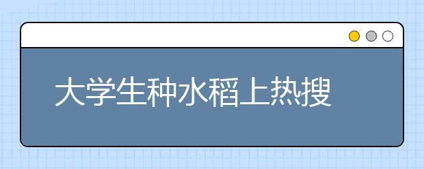 大学生种水稻上热搜 但新农科不止种田这么简单