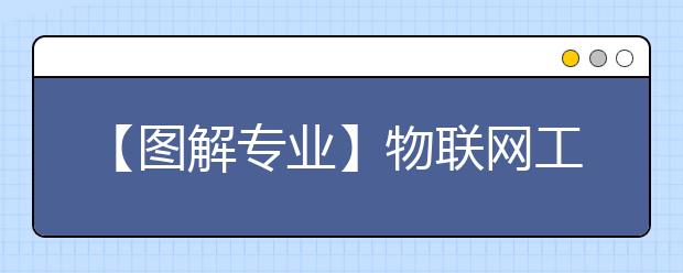 【图解专业】物联网工程：让万事万物开口“说话”