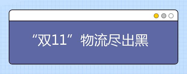 “双11”物流尽出黑科技 未来可能没“人”送快递