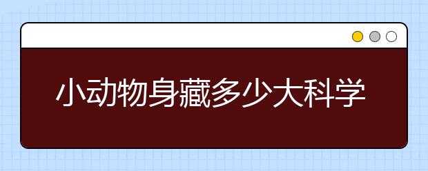 小动物身藏多少大科学