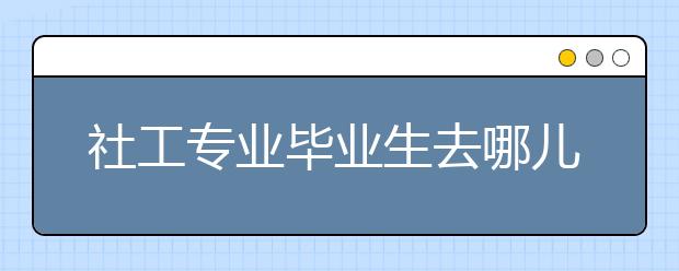 社工专业毕业生去哪儿了