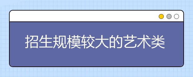 招生规模较大的艺术类专业名单（本科）