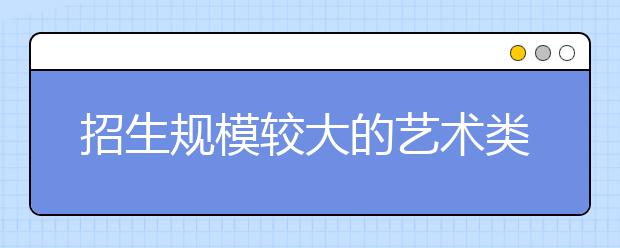 招生规模较大的艺术类专业名单（专科）