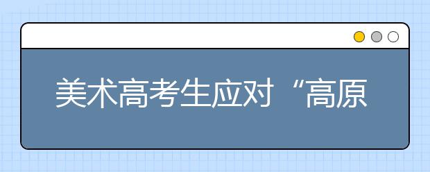 美术高考生应对“高原现象”策略谈