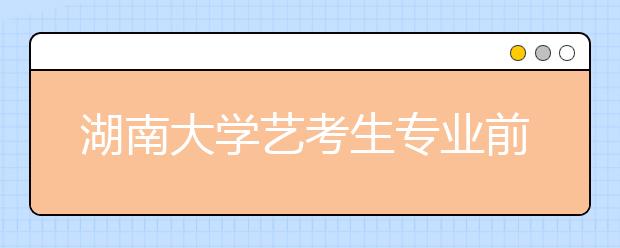 湖南大学艺考生专业前三名文化成绩可放低