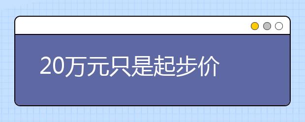 20万元只是起步价 艺考生培训费用“烧”多少