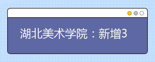 湖北美术学院：新增3个专业月底开始报名 