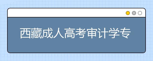 西藏成人高考审计学专业就业前景怎么样