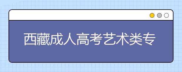 西藏成人高考艺术类专业加试考试考什么