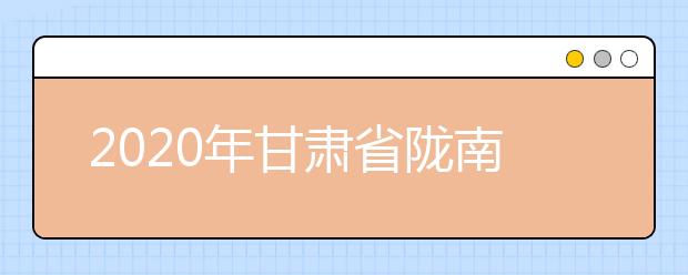 2020年甘肃省陇南地区成人高考报名官方网站