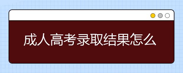 成人高考录取结果怎么查询?在哪个官方网站查询