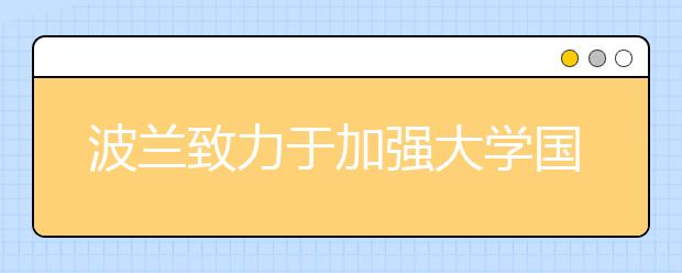 波兰致力于加强大学国际性和学术流动性