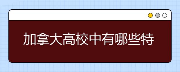 加拿大高校中有哪些特殊课程