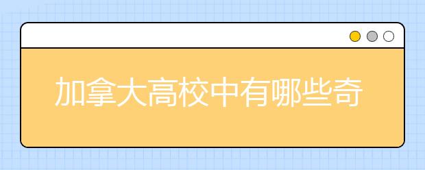 加拿大高校中有哪些奇葩课程