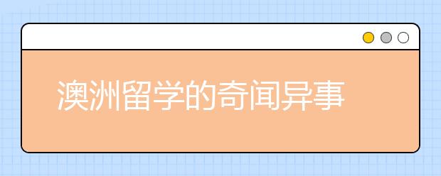 澳洲留学的奇闻异事