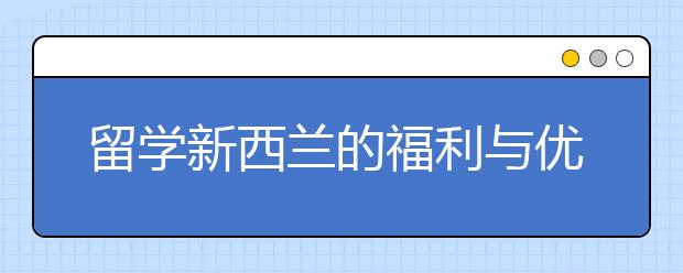 留学新西兰的福利与优势有什么