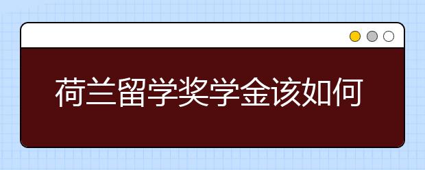 荷兰留学奖学金该如何申请？