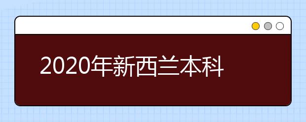 2020年新西兰本科艺术留学费用一览