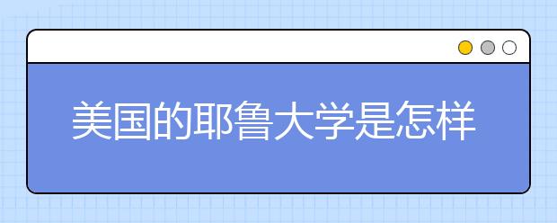 美国的耶鲁大学是怎样的院校