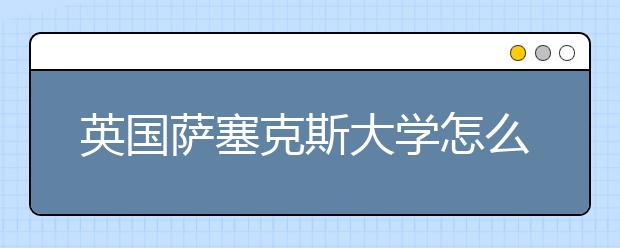 英国萨塞克斯大学怎么样