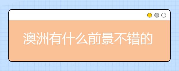 澳洲有什么前景不错的小众专业