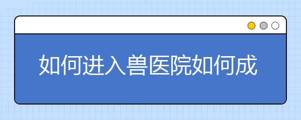 如何进入兽医院如何成为一名兽医