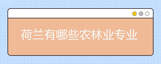 荷兰有哪些农林业专业值得申请