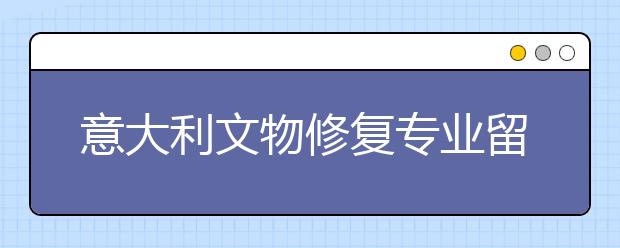 意大利文物修复专业留学的详细说明