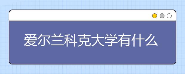 爱尔兰科克大学有什么专业可以选择